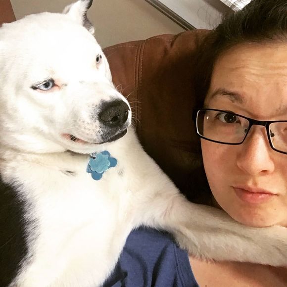 Meet your Posher, Ming-wai - Picture 1 of 1